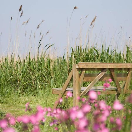 De Tijnjehoeve Boornzwaag over de Wielen 외부 사진