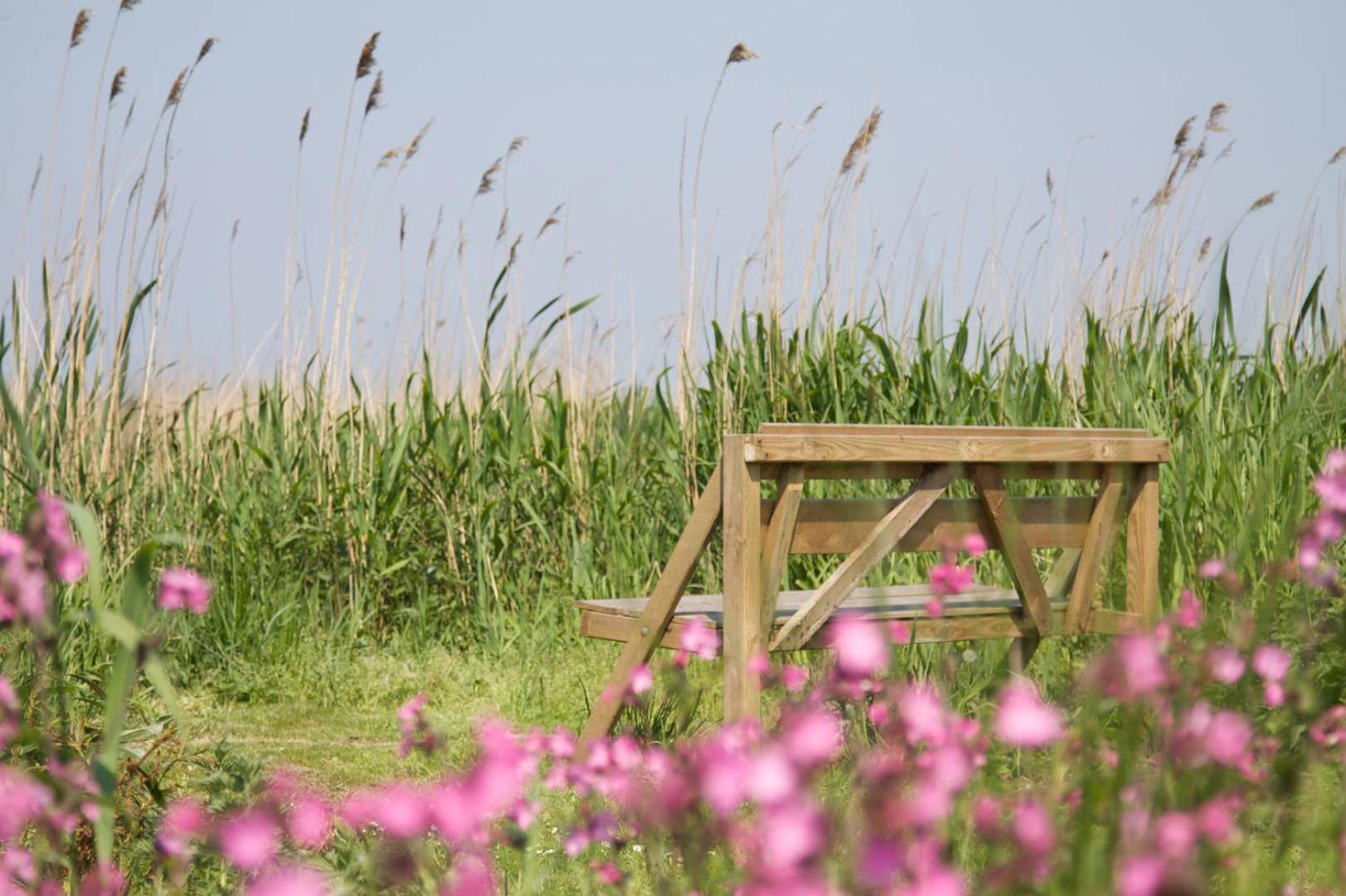 De Tijnjehoeve Boornzwaag over de Wielen 외부 사진